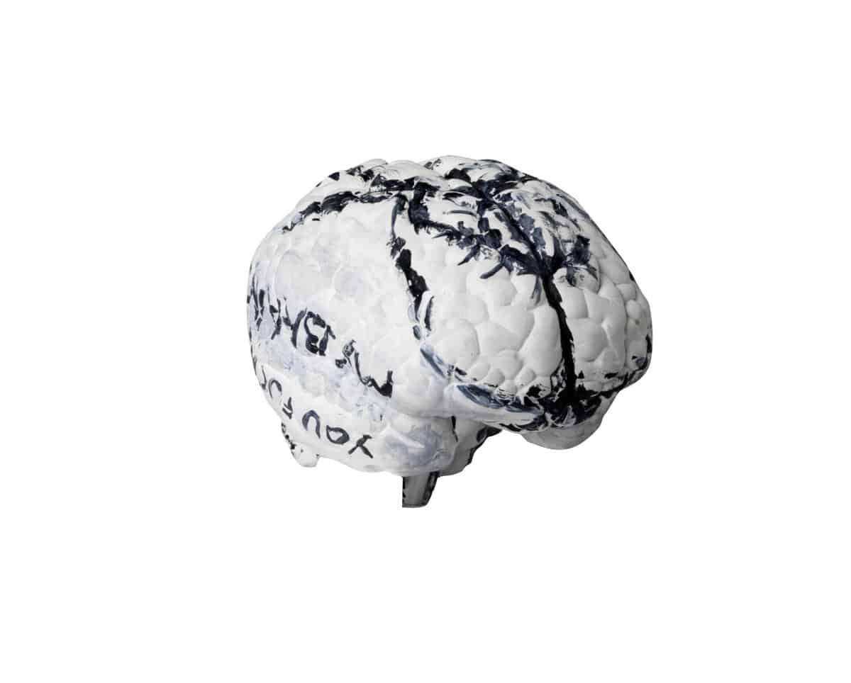 'Me, My Brain and I' Tracey Emin Brain Sculpture.