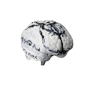 'Me, My Brain and I' Tracey Emin Brain Sculpture.