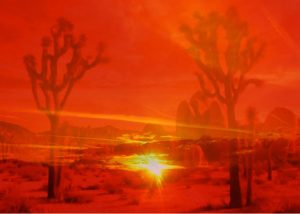 Samuel Levack and Jennifer Lewandowski Red Desert 2018 C-type print 23 x 30.5 cm FAD magazine
