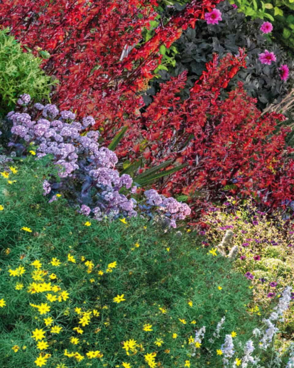 Flower-detail-from-Planet-Wakehurst-by-Catherine-Nelson-c-RBG-Kew-1