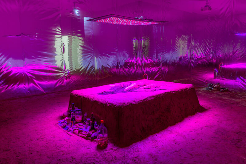 6 Museum Exhibitions we are looking forward to in 2025. - FAD Magazine