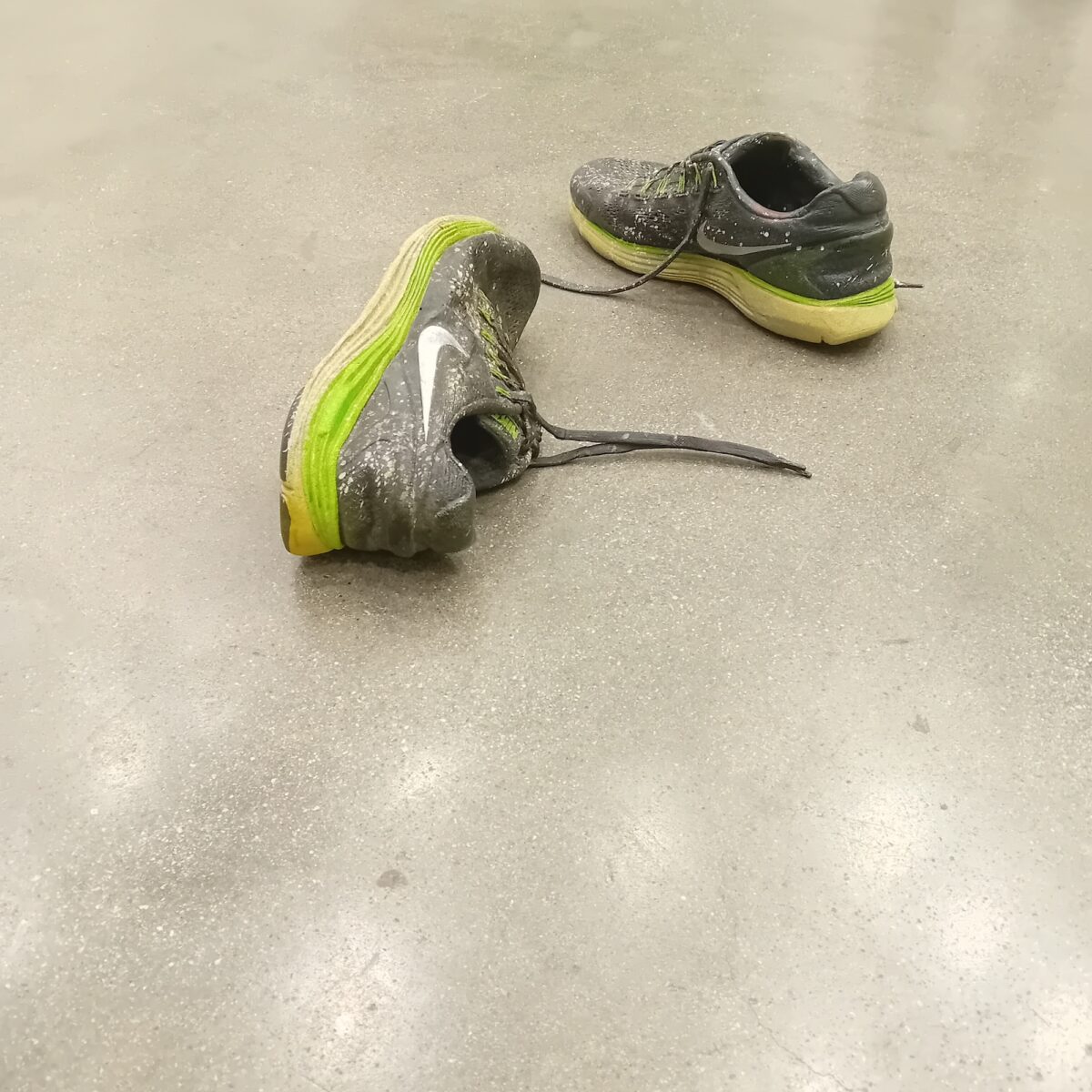 Wilfrid Almendra presented by DOCUMENT ( Chicago) at miart 2025 photo © Paul Carey-Kent