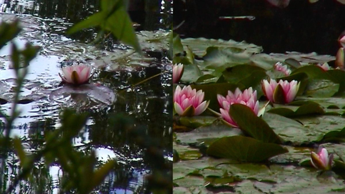 Ange Leccia, (D')Après Monet