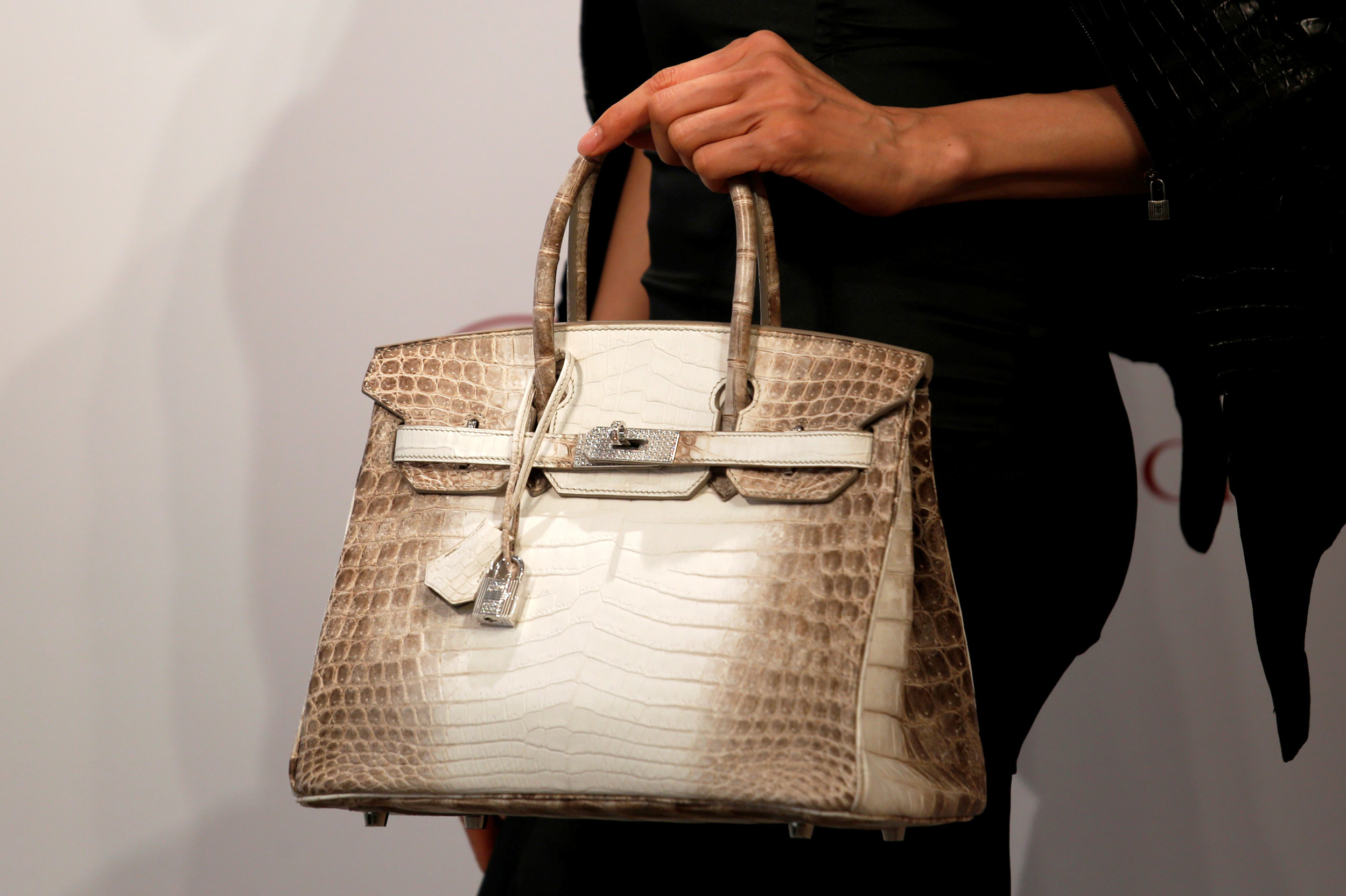 Record Price for Hermès Birkin Bag - WSJ