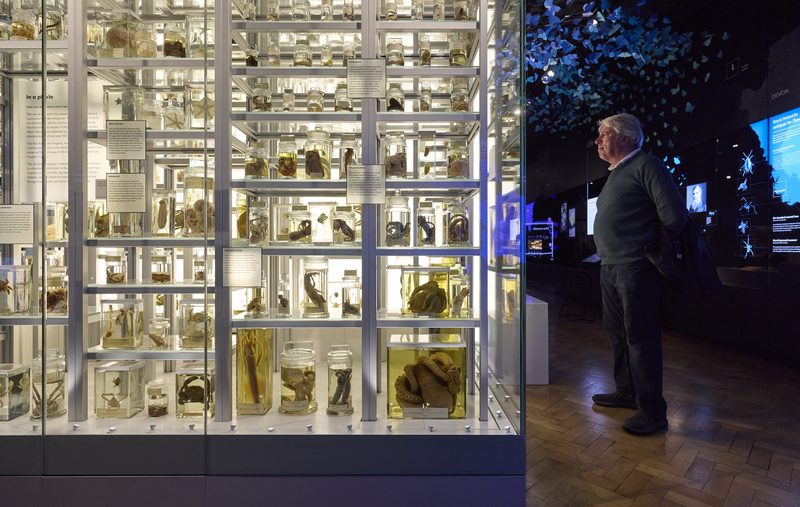 The Box Plymouth, winner of Art Fund Museum of the Year 2026