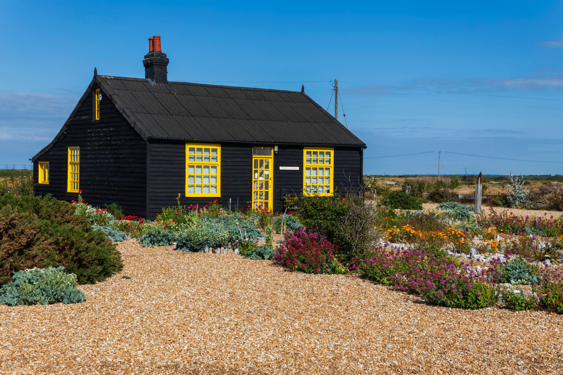 Exhibition inspired by Derek Jarman's Garden at Prospect Cottage