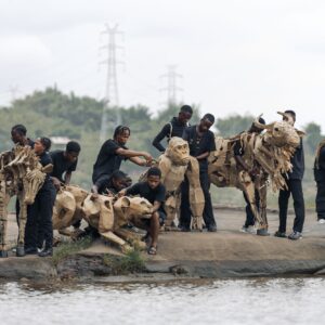 4 Kinshasa – Congo Basin (c) Berclaire for The Walk Productions (1)