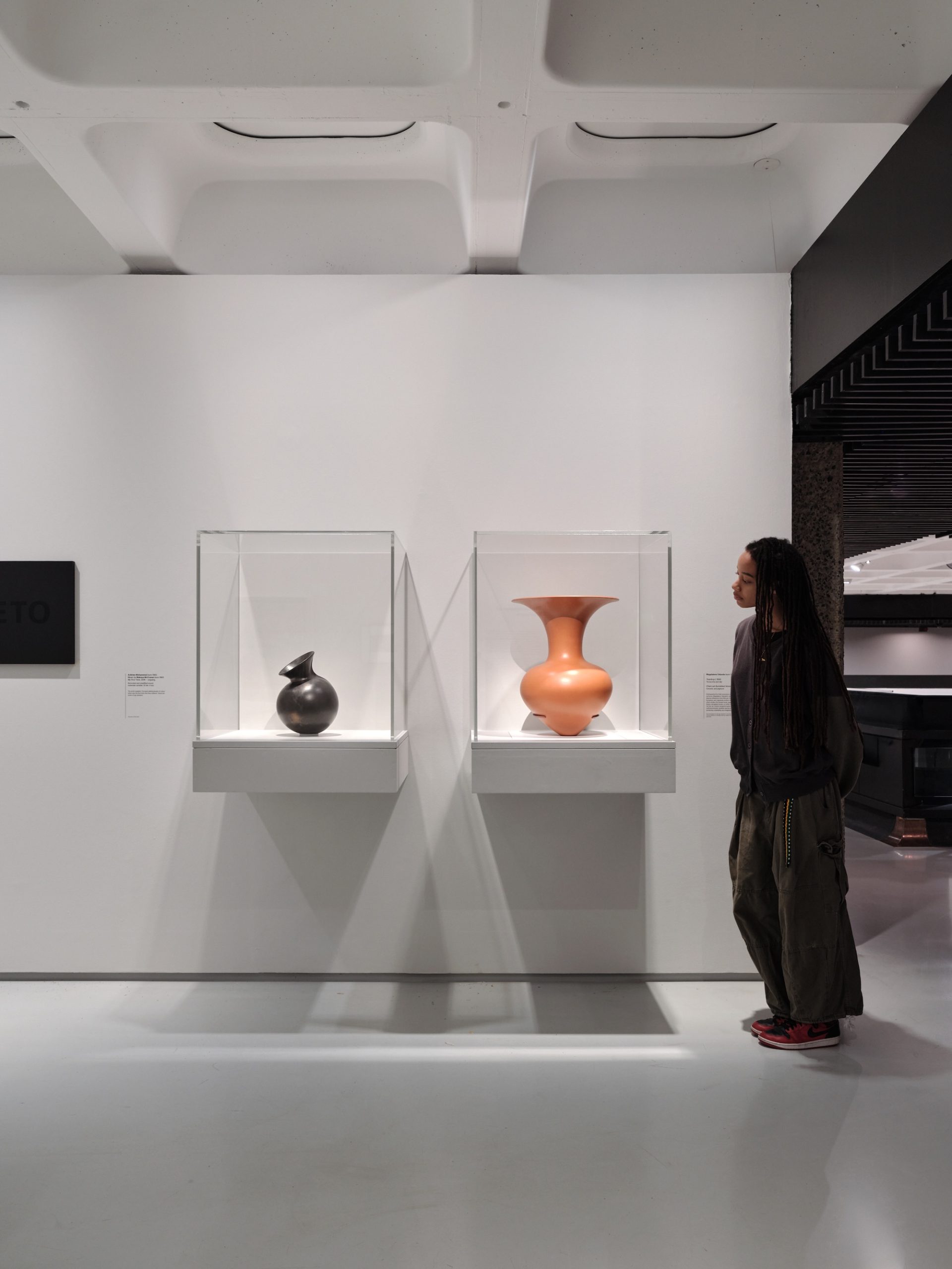 5. Project a Black Planet The Art and Culture of Panafrica