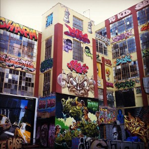 5pointzdvsdf