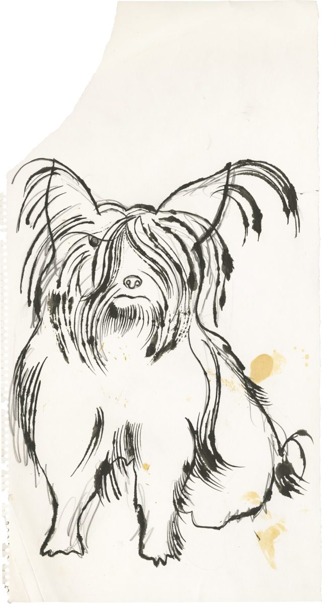 Andy warhol's Dog
