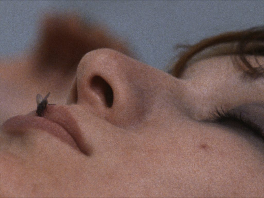 Yoko Ono, Still image from "FLY" 1970. ©Yoko Ono