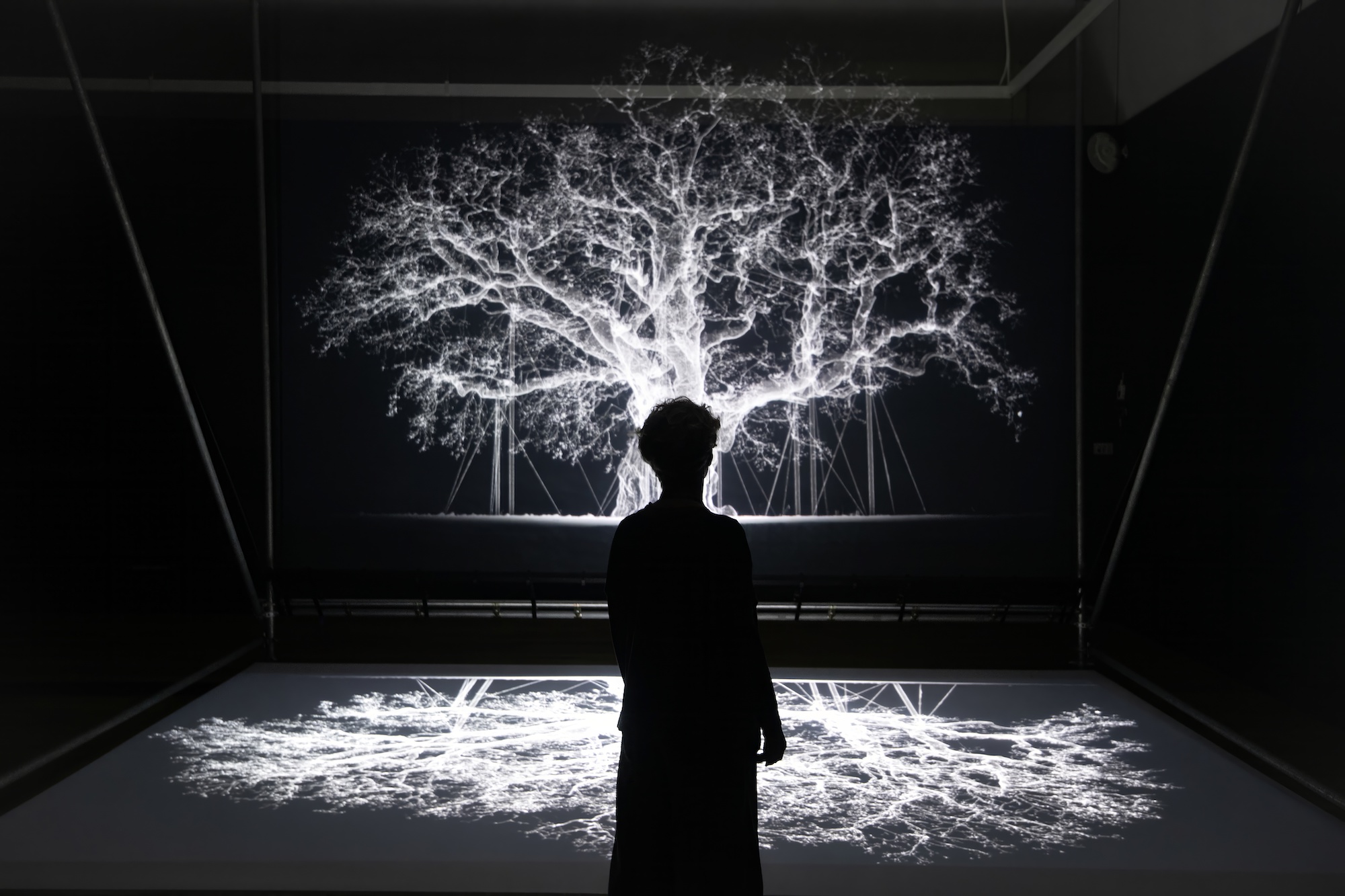 Mat Collishaw's Petrichor explores the intersection of art, nature ...