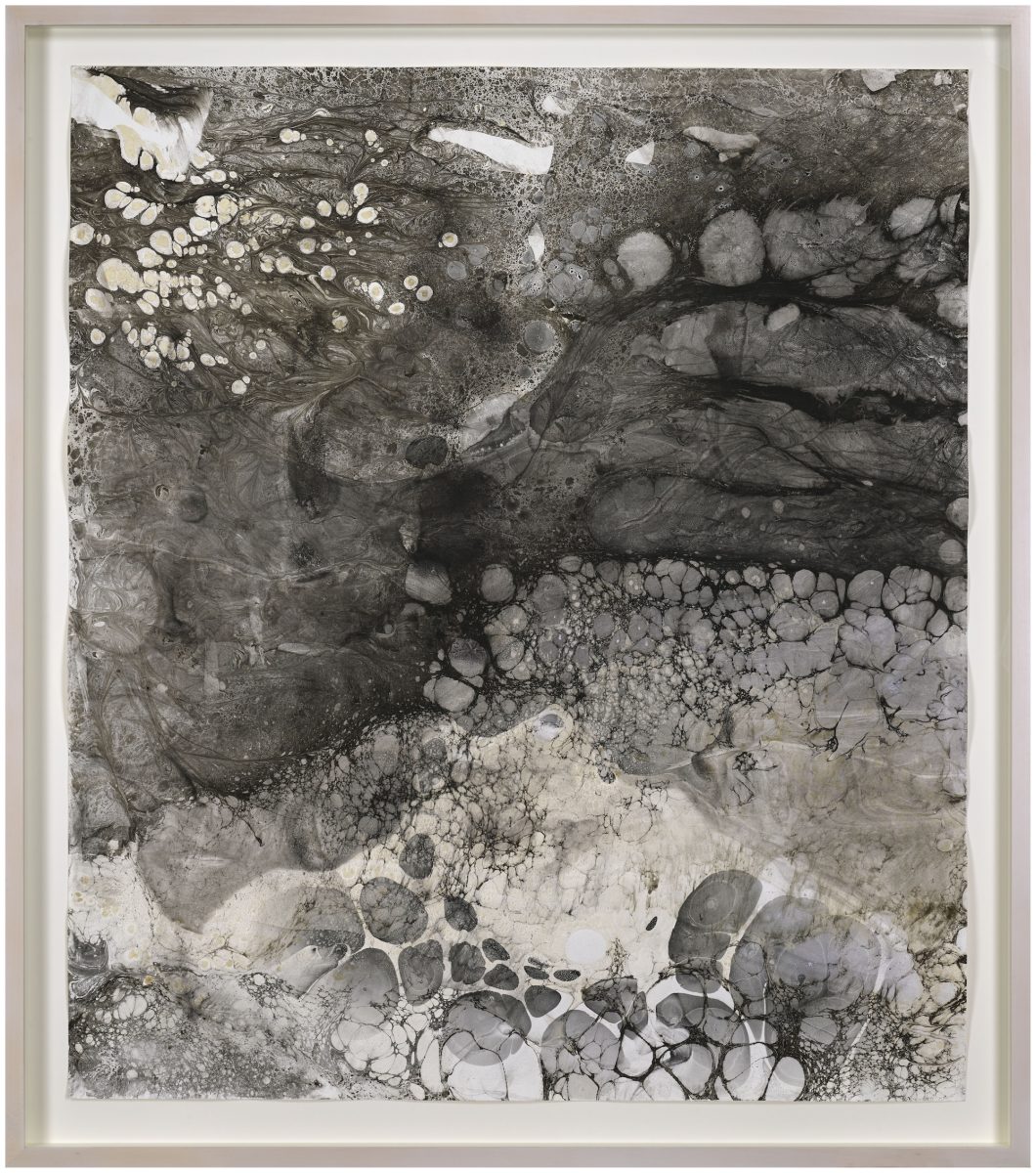 Anya Gallaccio, Untitled Oceans, 2025
