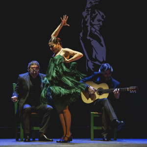 Ballet Flamenco – Sara Baras - Voces - Suite Flamenca (cred Santana de Yepes) I