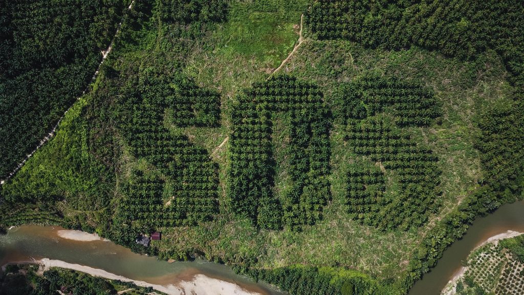 Photo by All Is Amazing (www.allisamazing.com) Artist Ernest Zacharevic carves giant SOS into Sumatran Landscape. FAD Magazine 