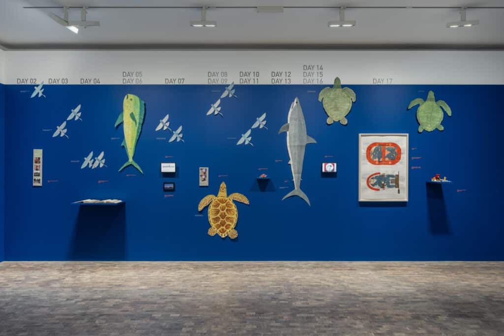 Installation View, Nina Katchadourian: To Feel Something That Was Not of Our World
