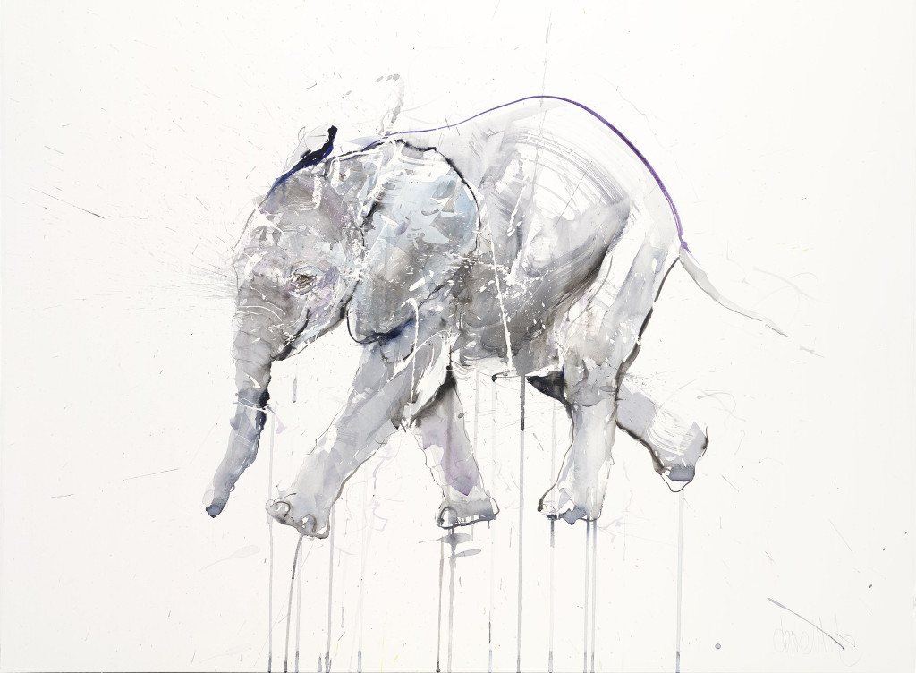 DW ELEPHANT ON PAPER