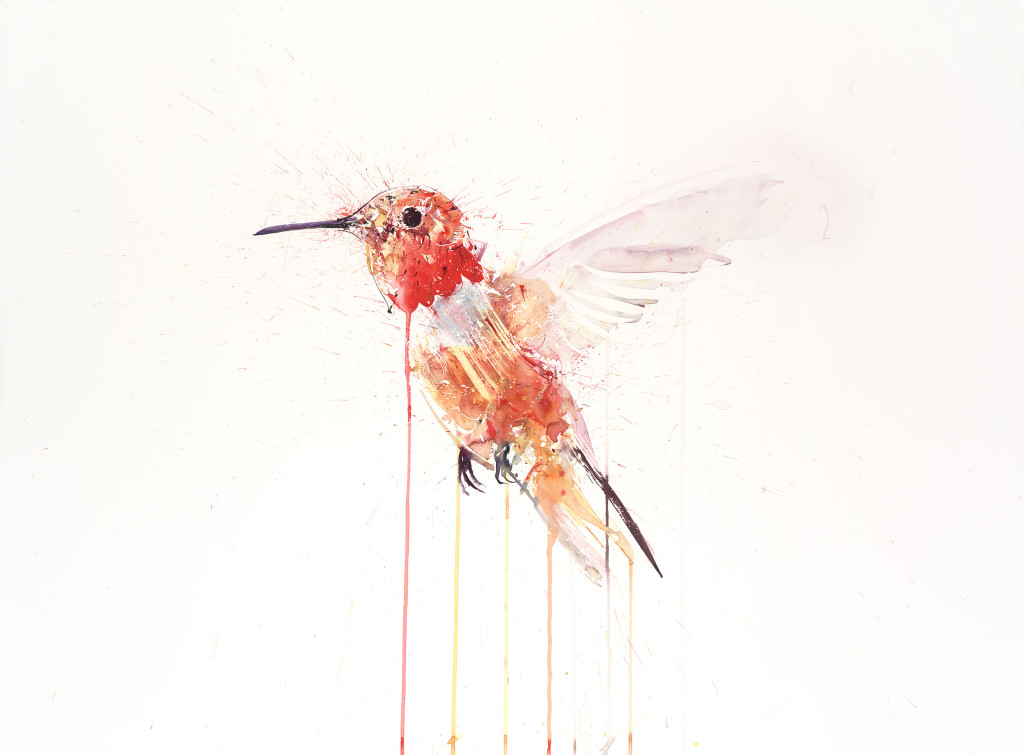 DW HUMMING BIRD PAPER OCT 2015