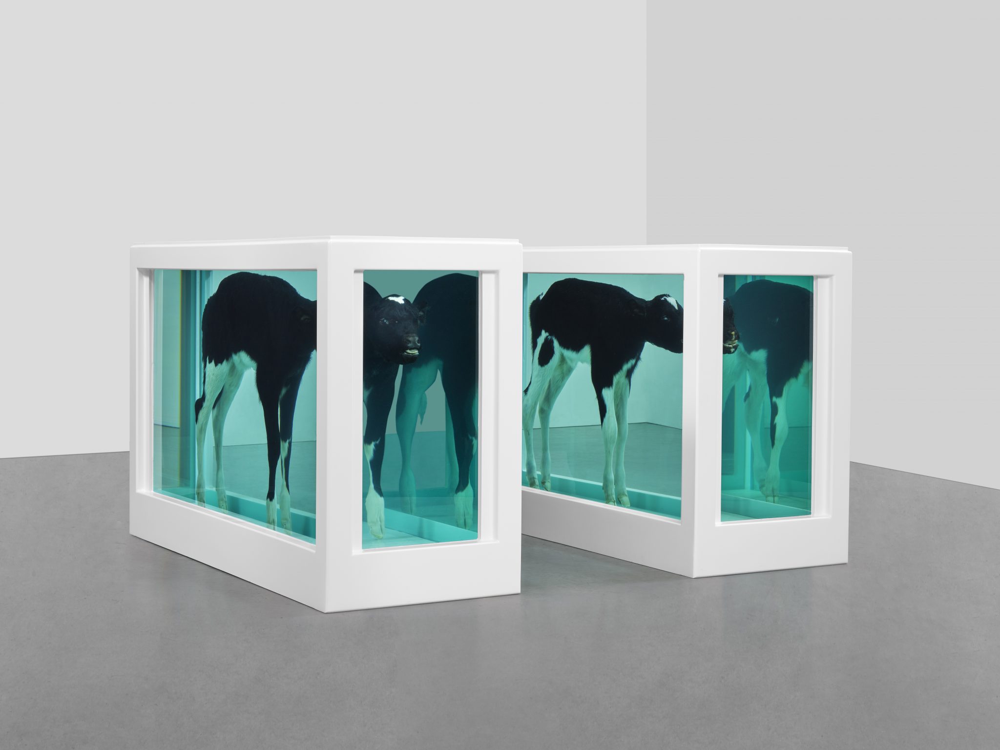 Damien Hirst’s famous 'Cain and Abel' stars in Meat The Future a ...