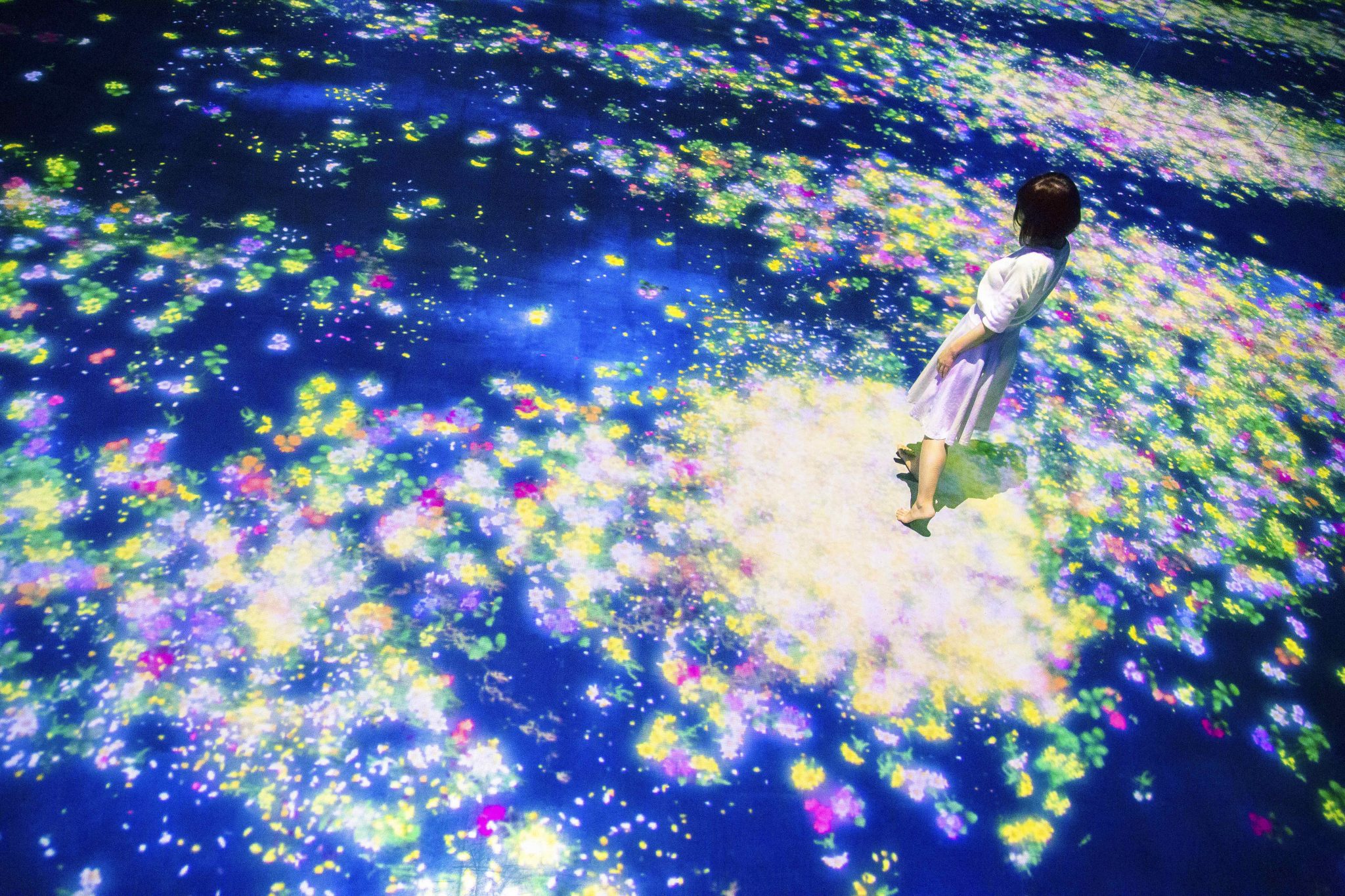 Flowers-and-People,-Cannot-be-Controlled-but-Live-Together_Courtesy TeamLab 