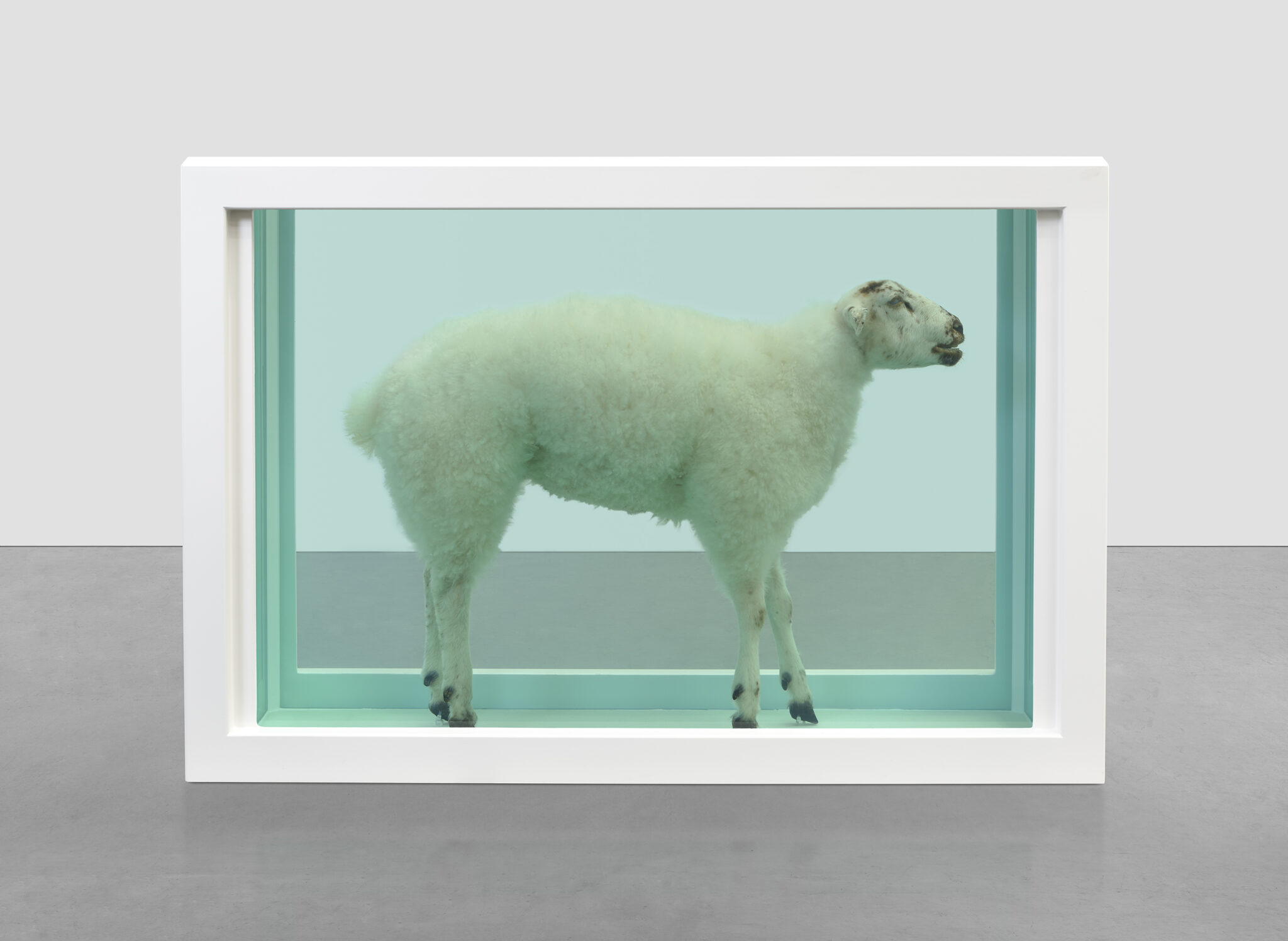 Damien Hirst's formaldehyde sculptures feature in new exhibition. - FAD ...