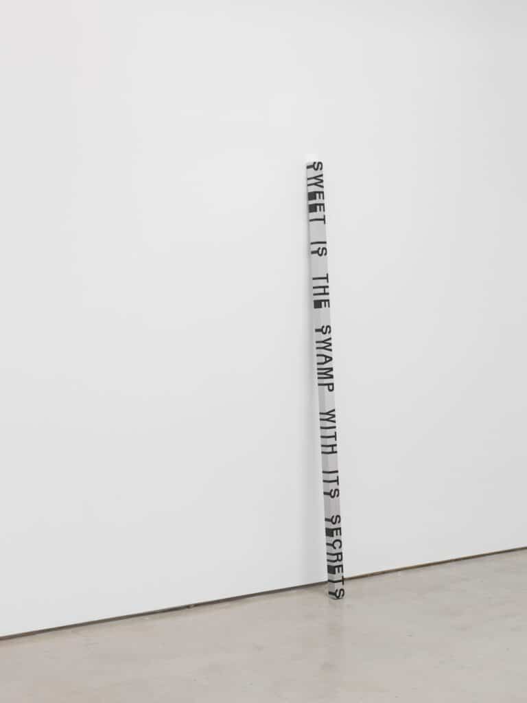 Roni Horn Key and Cue,
