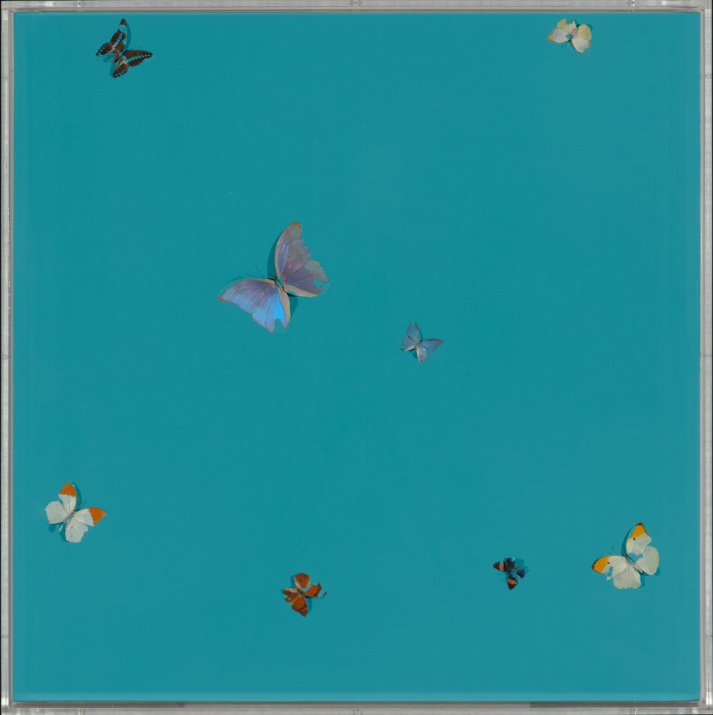 Damien Hirst, Bognor Blue (2008). ©Damien Hirst and Science Ltd. All rights reserved, DACS 2018. Courtesy Pallant House Gallery