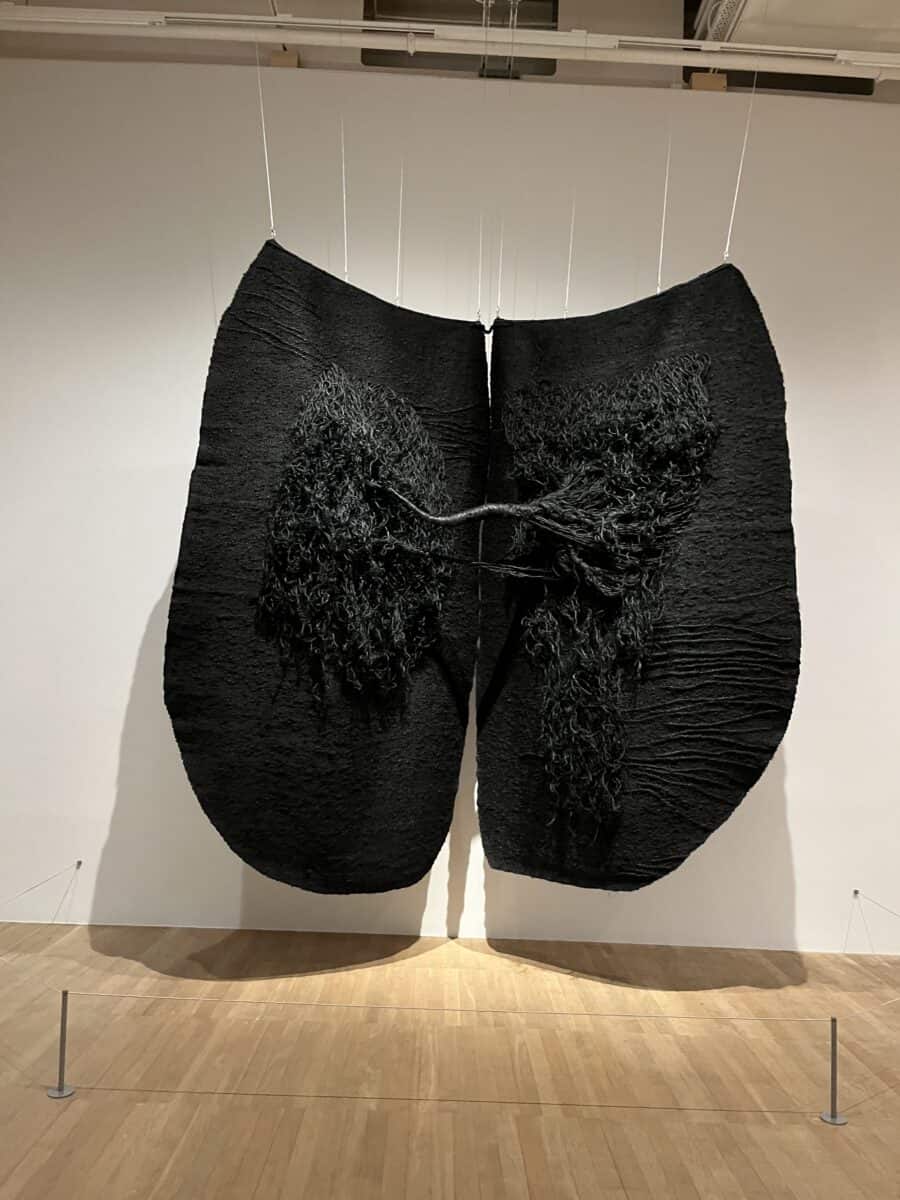 Magdalena Abakanowicz, Every tangle of threads and cords 