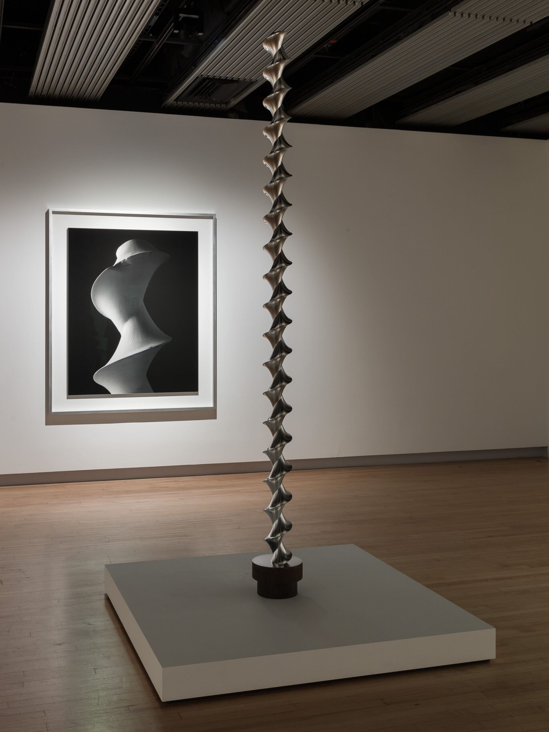 Installation-view-of-Hiroshi-Sugimoto-Conceptual-Forms-0003-and 