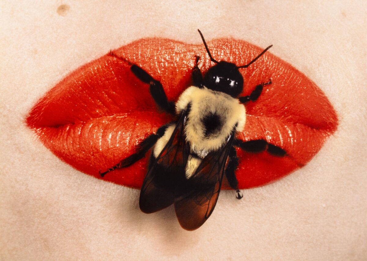 Irving Penn, Bee on Lips, New York, 1995 dye transfer print. © The Irving Penn Foundation