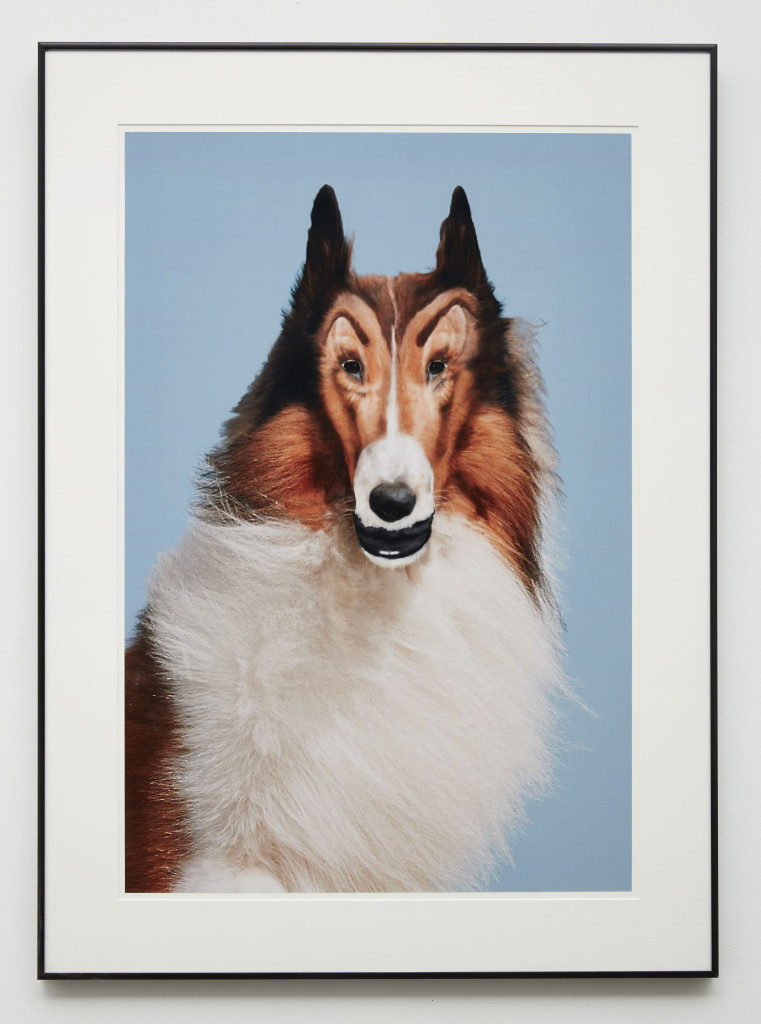 JWA_24505_Reconstructed_Lassie_framed