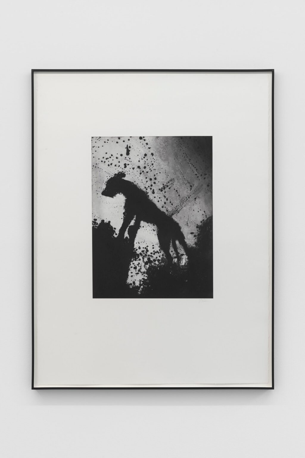 Jack-Davison-Untitled-AP22-2022-Photopolymer-intaglio-©-the-artist ...