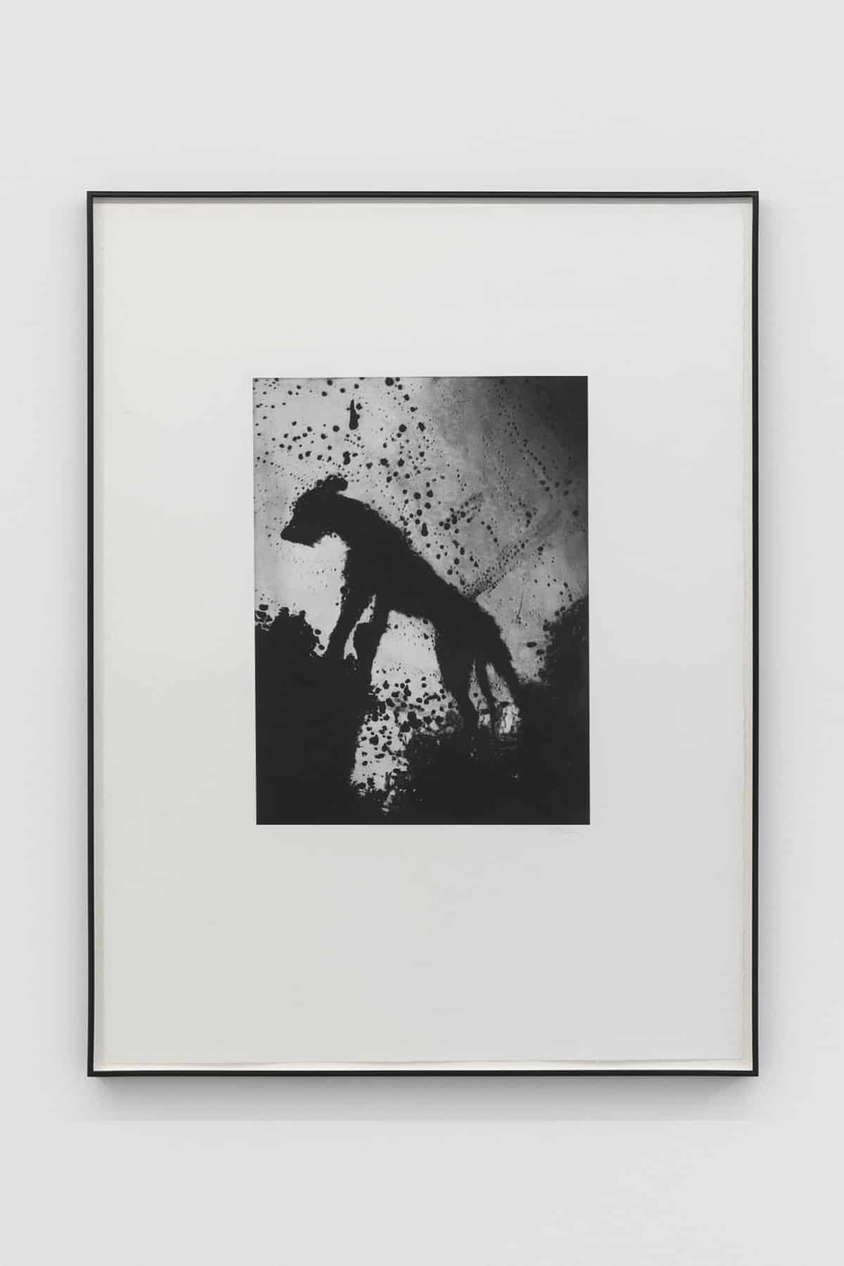 Jack-Davison-Untitled-AP22-