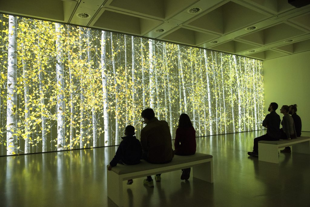 Among the Trees at Hayward Gallery. Photo by Linda Nylind. 29/2/2020.