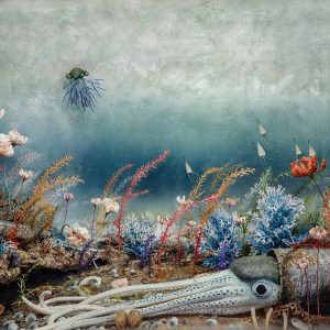 The Open: Odyssey at Hastings Contemporary is the South Coast’s answer to the Summer Exhibition Jim Naughten, Cephalopod