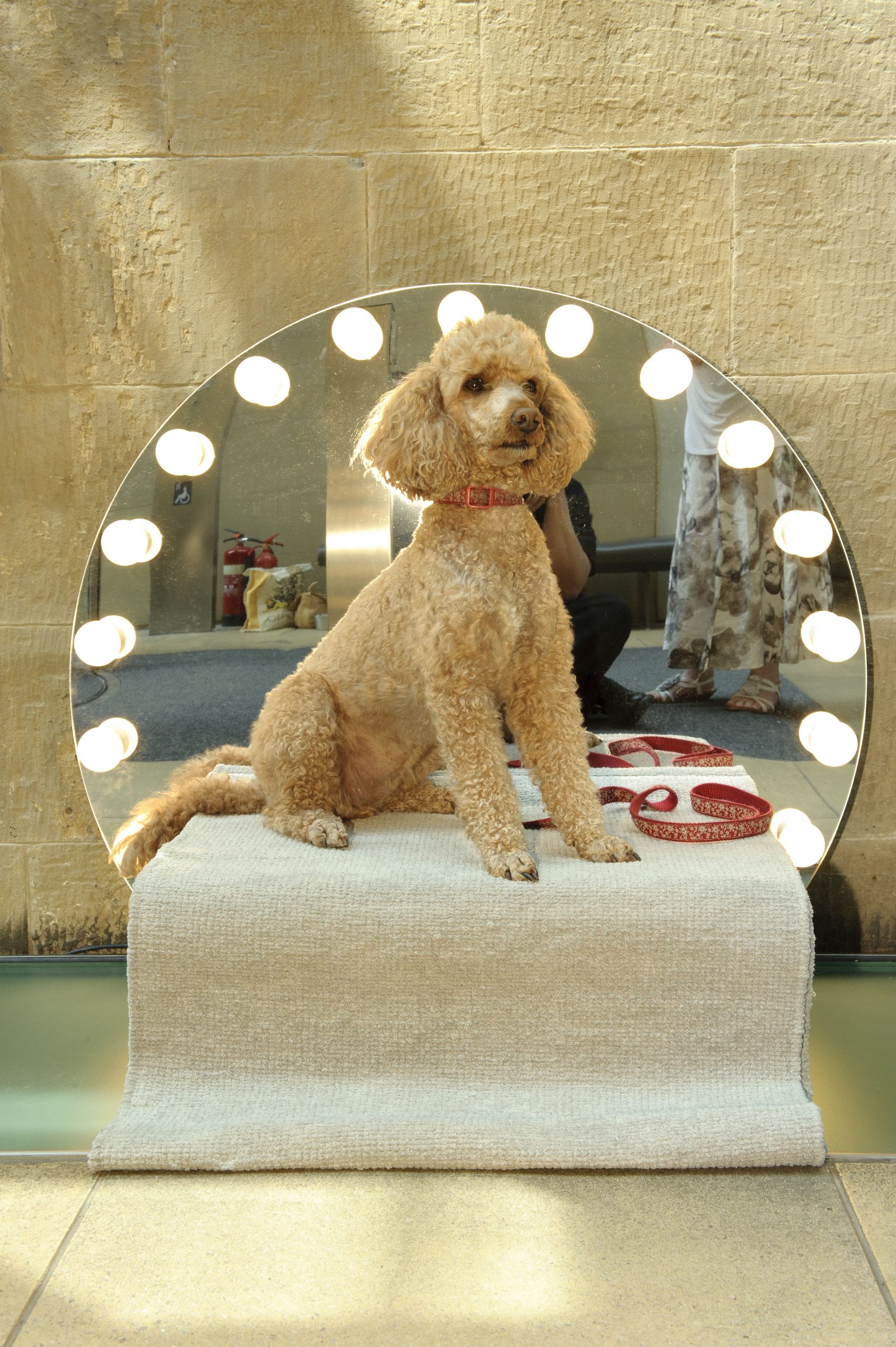 FAD MAGAZINE Konstantin Grcic Paramount: Architecture for a Toy Poodle, 2012 Photo credit: Joel Fildes