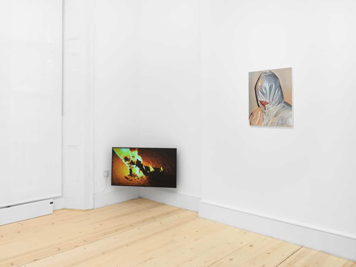 Installation view of Brittany Shepherd: Deliverance. Photo: Eva Herzog. Artwork: courtesy of the artist and MAMOTH-- FAD magazine