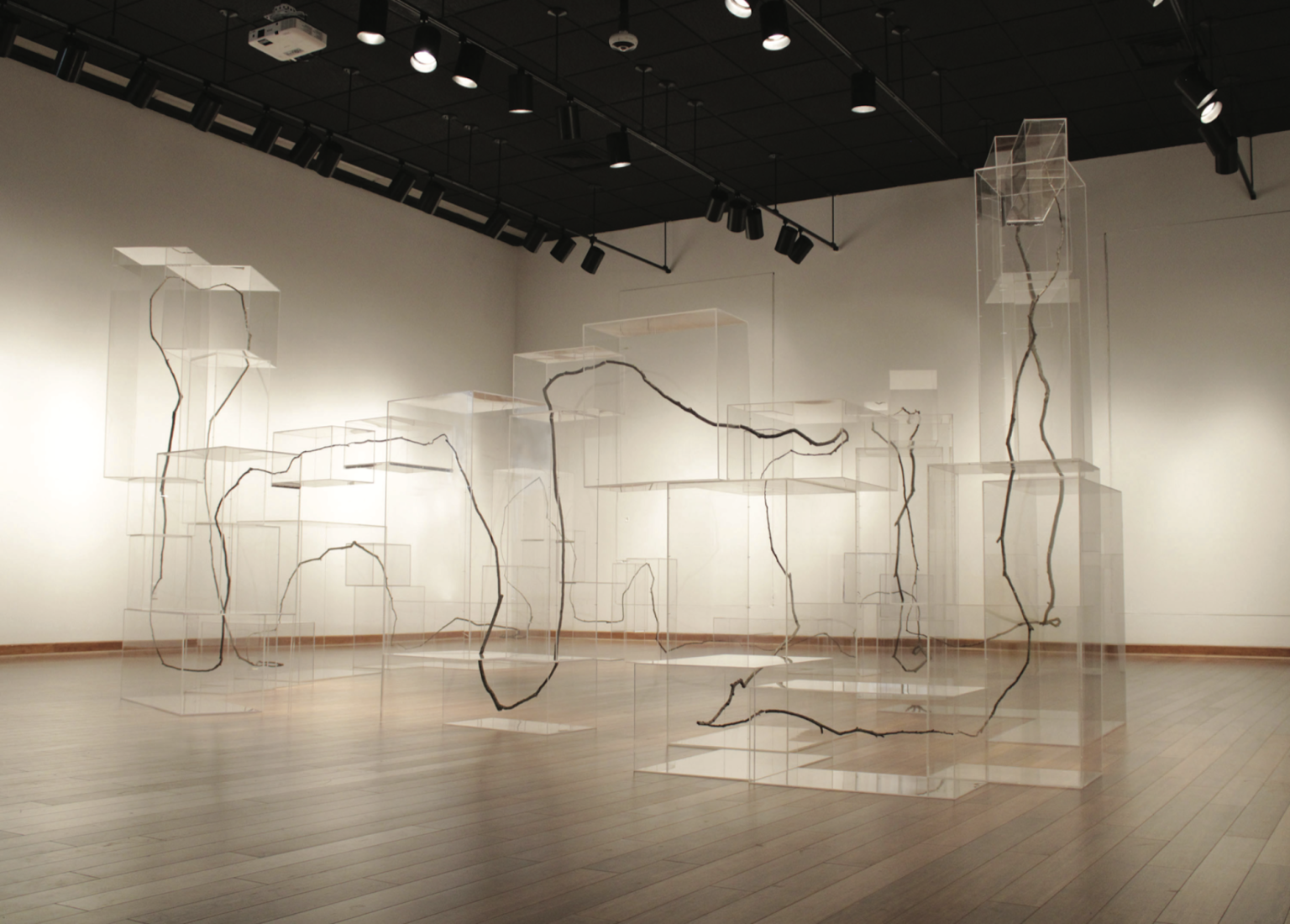 Liu Shiming Art Foundation Announces 2025 Grantees - FAD Magazine