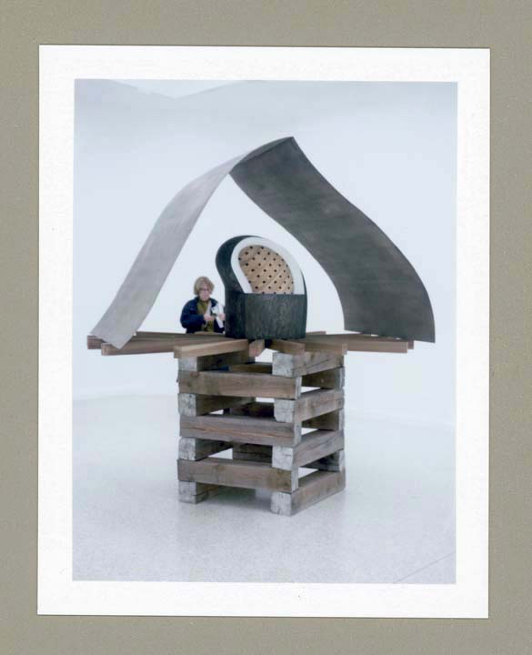 Martin Puryear Pavilion Of US copy