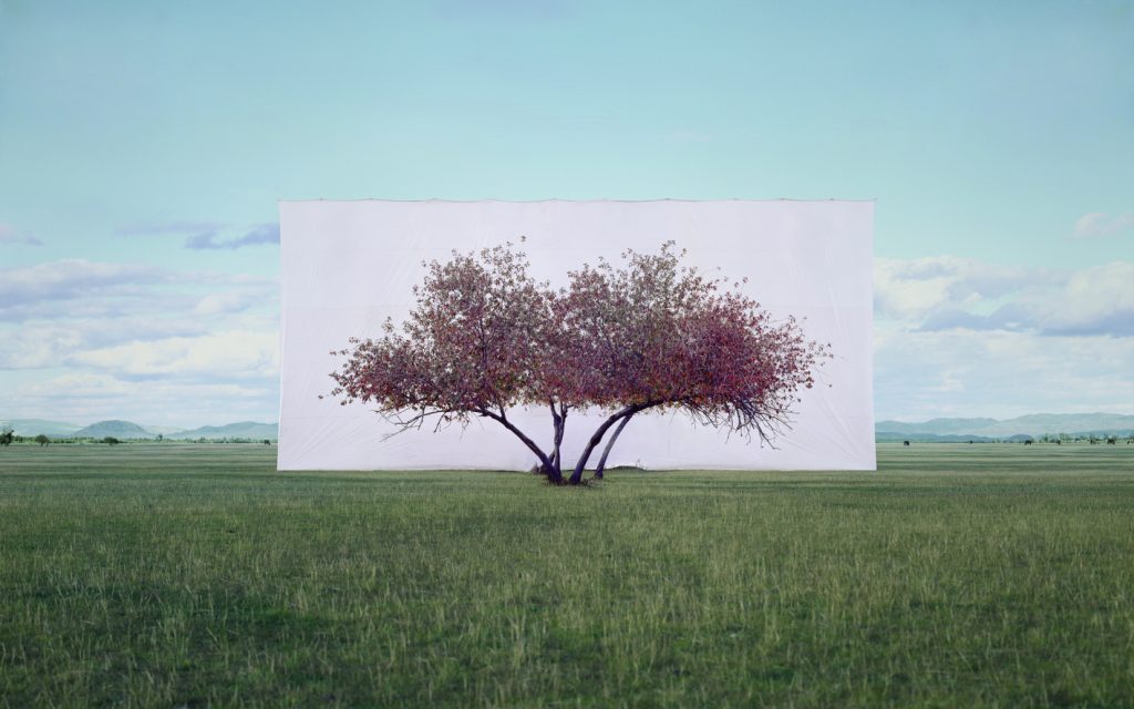 Myoung Ho Lee Tree... #2, 2012 Ink on Paper 104 x 152 cm © the artist 2020 Courtesy Myoung Ho Lee and Gallery Hyundai