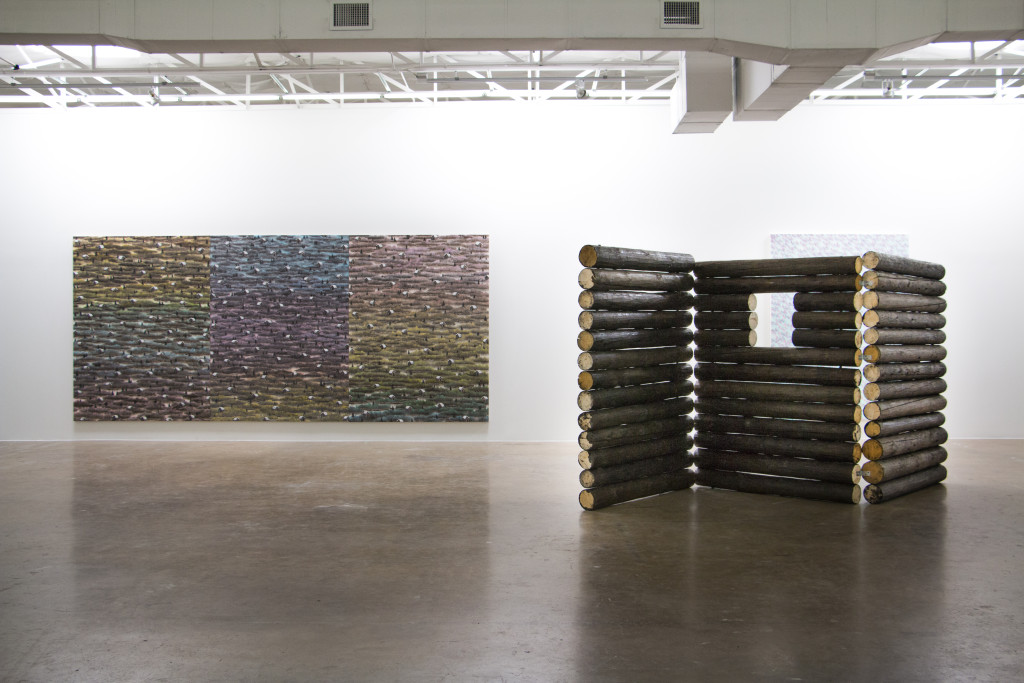 Neil Raitt, Cabinectomy (installation view) Goss-Michael Foundation, TX 2014