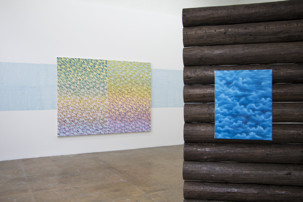 Neil Raitt, Cabinectomy (installation view) Goss-Michael Foundation, TX 2014