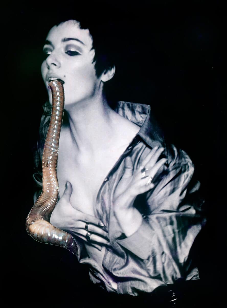 Penny SLINGER The Larval Worm, 