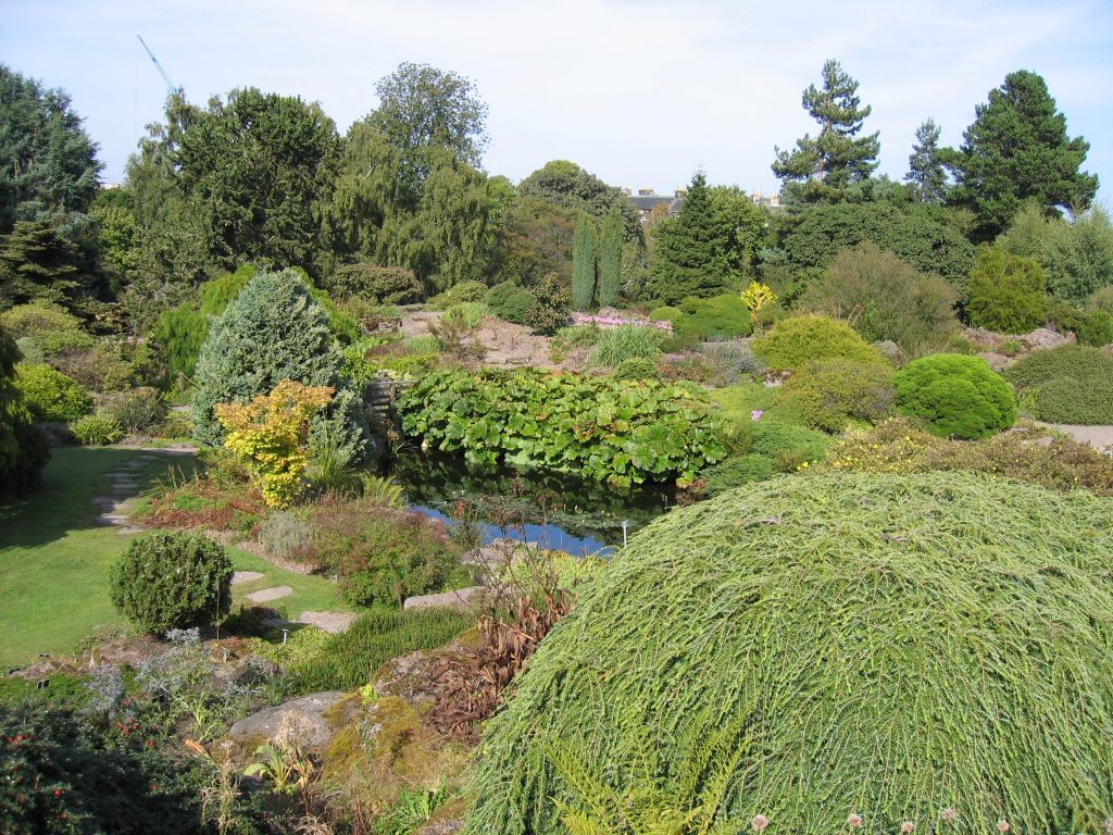 FAD MAGAZINE Royal Botanic Garden Edinburgh rockgarden