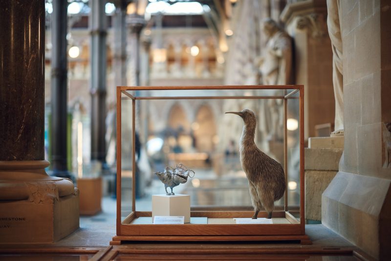 Dreams and the apocalypse: an impressive double-header of exhibitions ...