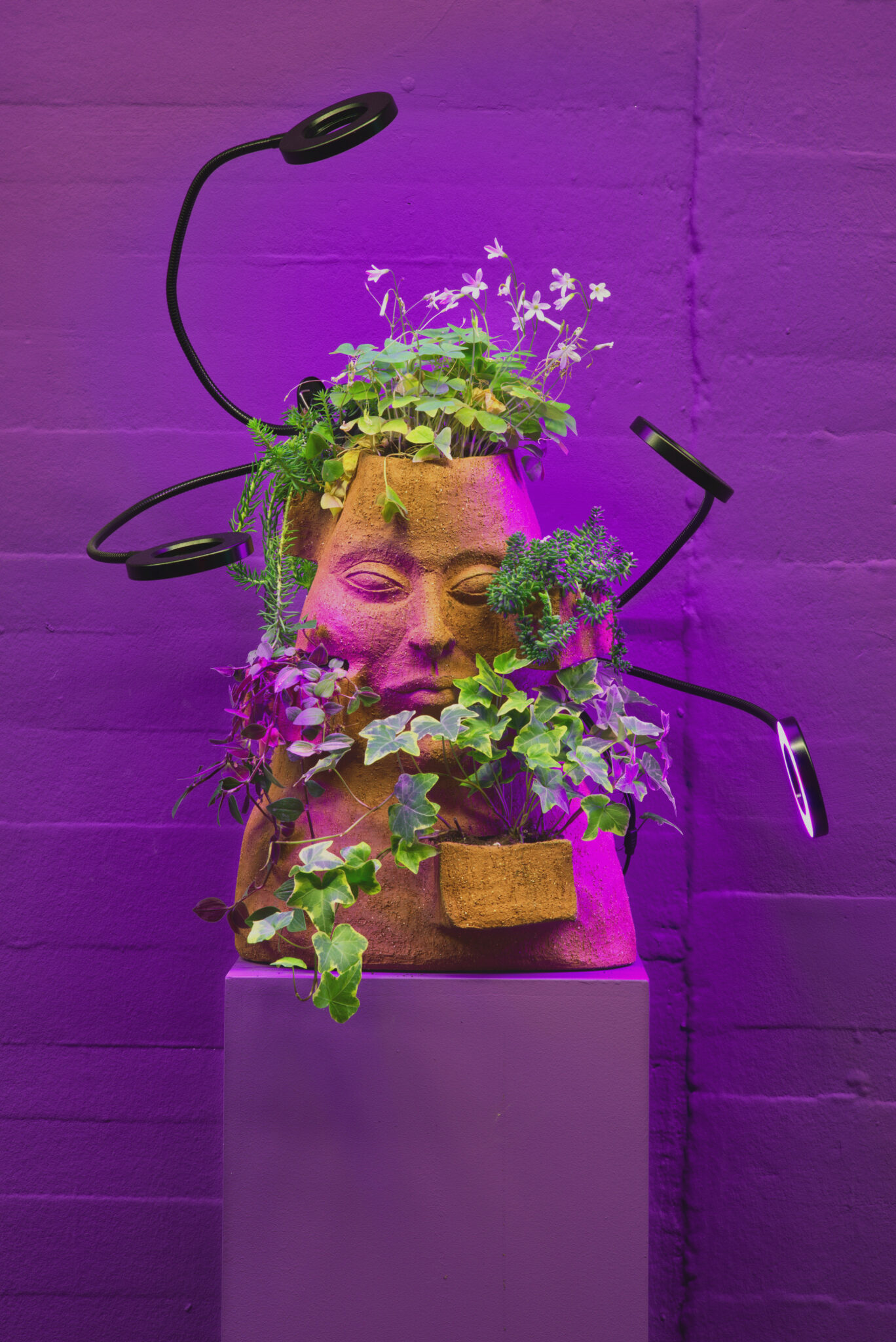 10 Questions from Isolation... with Anna Fox - FAD Magazine