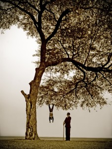 Sana Khan. Tree Series Pinyada. 2008. 3240 x 4274.