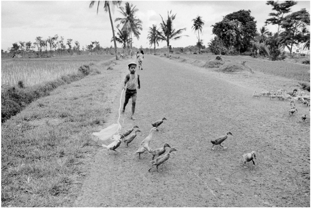 Wim Wenders, Boy with ducks, Bali, 1978, Silver gelatin on Baryt paper framed behind glass on Alu Dibond 40 x 60 cm, Courtesy Blain|Southern, © Wim Wenders