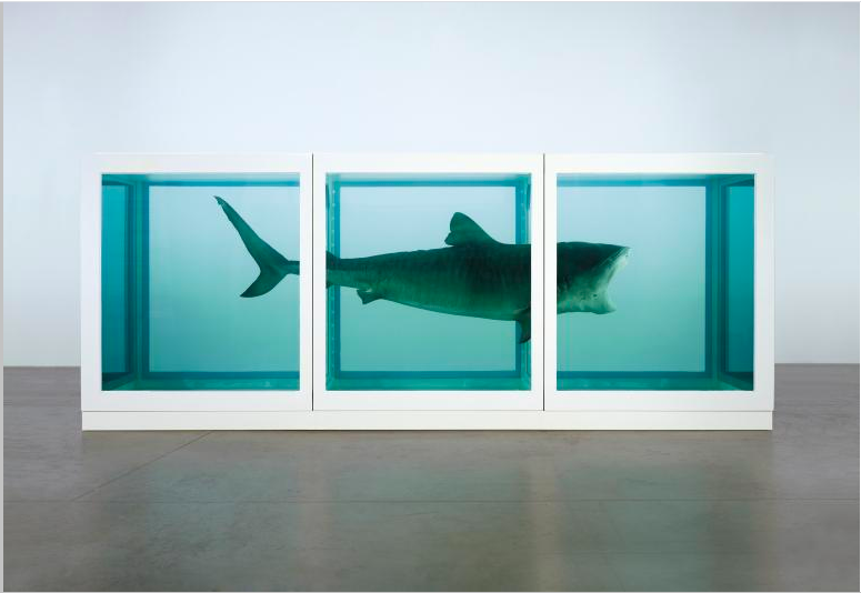 The Physical Impossibility of Death in the Mind of Someone Living 1991 2170 x 5420 x 1800 mm | 85.5 x 213.4 x 70.9 in Glass, painted steel, silicone, monofilament, shark and formaldehyde solution Formaldehyde Image: Photographed by Prudence Cuming Associates © Damien Hirst and Science Ltd. All rights reserved, DACS 2012