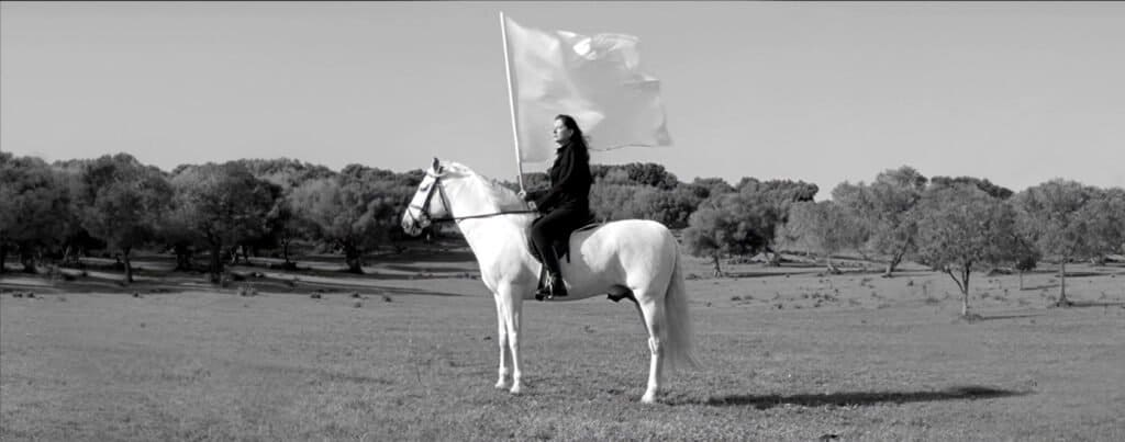 Marina-Abramovic first ever NFT The Hero